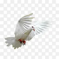 ÕÅ¿ª³á°òµÄ¸ë×Ó-¿ÕÈôÍø ÕÅ¿ª³á°òµÄ¸ë×Ó-¿ÕÈôÍø