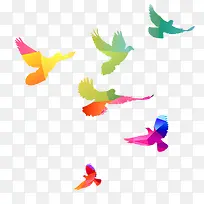 彩色鸽子-空若网 彩色鸽子-空若网