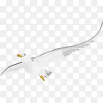 白色可爱手绘鸽子-空若网 白色可爱手绘鸽子-空若网