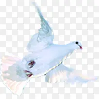 ��ɫ����չ��߷�-������