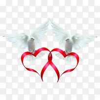 鸽子爱心丝带-空若网 鸽子爱心丝带-空若网