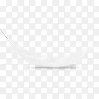 白色鸽子羽毛-空若网 白色鸽子羽毛-空若网