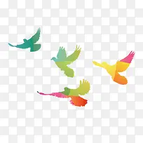 彩色鸽子-空若网 彩色鸽子-空若网