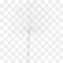 白色树杈-空若网 白色树杈-空若网