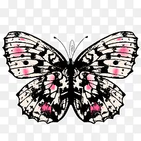 �ֻ����-������