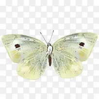 手绘蝴蝶-空若网 手绘蝴蝶-空若网