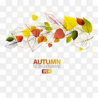 彩色树叶手绘花纹-空若网 彩色树叶手绘花纹-空若网
