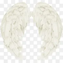 白色翅膀-空若网 白色翅膀-空若网