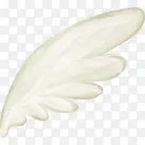 ��ɫ���-������