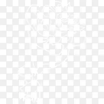 白色梦幻手绘花束-空若网 白色梦幻手绘花束-空若网