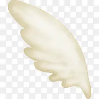 翅膀-空若网 翅膀-空若网