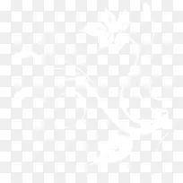 白色唯美手绘花纹-空若网 白色唯美手绘花纹-空若网