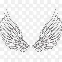 白色手绘的翅膀-空若网 白色手绘的翅膀-空若网