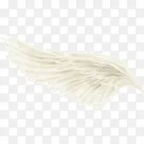 �ֻ���ë���-������