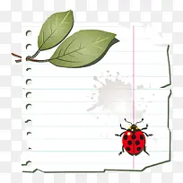 卡通手绘白纸瓢虫叶子-空若网 卡通手绘白纸瓢虫叶子-空若网