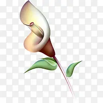 手绘卡通白色百合花-空若网 手绘卡通白色百合花-空若网