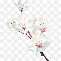 ��ɫ���ӻ�-������