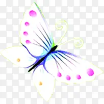 白色手绘艺术蝴蝶-空若网 白色手绘艺术蝴蝶-空若网