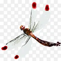 手绘夏季白色蜻蜓-空若网 手绘夏季白色蜻蜓-空若网