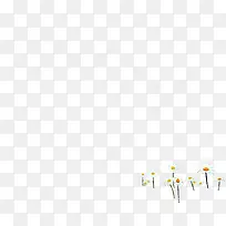 手绘白色夏季小花-空若网 手绘白色夏季小花-空若网