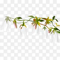 �ֻ��ɫ��ͨС��-������