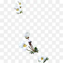 �ֻ��ɫ�һ�ʱ�к���-������