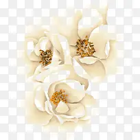 手绘白色花瓣唯美-空若网 手绘白色花瓣唯美-空若网