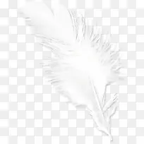 ��ɫ�ֻ�Ψ����ë-������