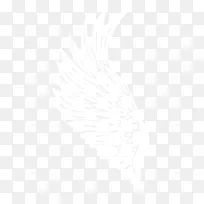 手绘卡通白色翅膀-空若网 手绘卡通白色翅膀-空若网