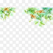 ��ͨ�ֻ���Ҷֲ��-������