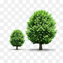 ��ɫ����-������