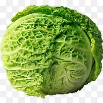 Êß²Ë-¿ÕÈôÍø Êß²Ë-¿ÕÈôÍø