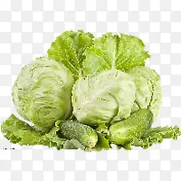 蔬菜-空若网 蔬菜-空若网