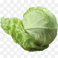 蔬菜-空若网 蔬菜-空若网