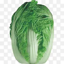 大白菜-空若网 大白菜-空若网