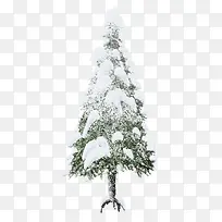 ��ѩ����-������