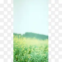 白色淡雅大屏背景-空若网 白色淡雅大屏背景-空若网