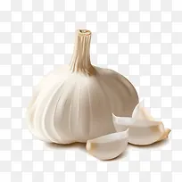 白色手绘大蒜-空若网 白色手绘大蒜-空若网