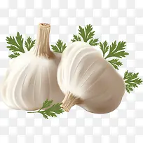 白色新鲜大蒜-空若网 白色新鲜大蒜-空若网