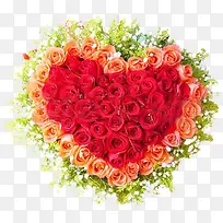创意元素高清摄影鲜花玫瑰花-空若网 创意元素高清摄影鲜花玫瑰花-空若网