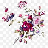 花朵插画-空若网 花朵插画-空若网