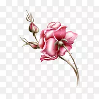 海报摄影短片艺术-牡丹-空若网 海报摄影短片艺术-牡丹-空若网