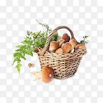 ��Ʒʵ���㹽-������