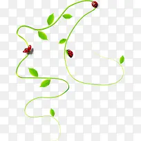 手绘合成绿色的藤蔓昆虫-空若网 手绘合成绿色的藤蔓昆虫-空若网