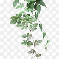 ���崴����Ӱ��ɫ����-������