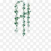 绿色高清摄影创意藤蔓-空若网 绿色高清摄影创意藤蔓-空若网