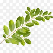 ����-������