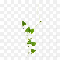 ÌÙÂû-¿ÕÈôÍø ÌÙÂû-¿ÕÈôÍø