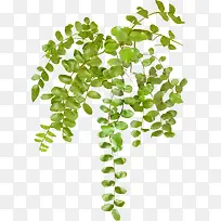 ²ÝÌÙ-¿ÕÈôÍø ²ÝÌÙ-¿ÕÈôÍø