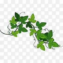 卡通手绘清新藤蔓-空若网 卡通手绘清新藤蔓-空若网